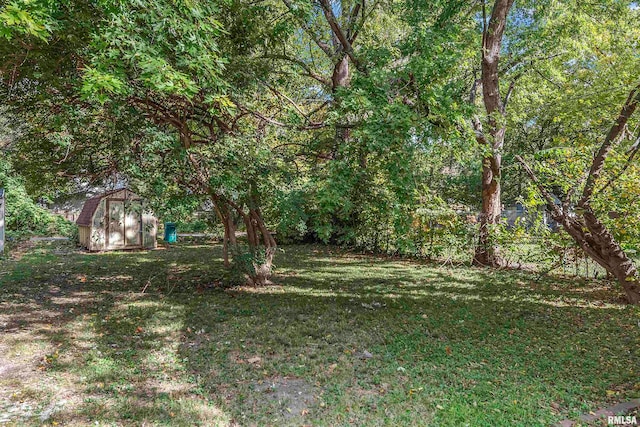 view of yard with a storage shed