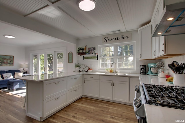 kitchen with white cabinetry, a healthy amount of sunlight, stainless steel range with gas cooktop, and sink