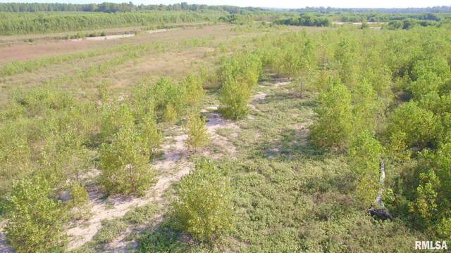 000 Watson Rd, Miller City, IL 62962