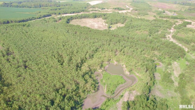 000 Watson Rd, Miller City, IL 62962