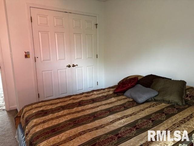 bedroom featuring carpet and a closet