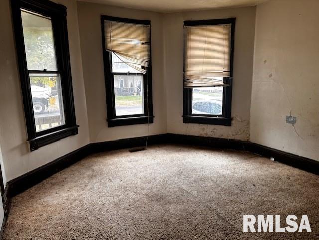 spare room with carpet and a wealth of natural light