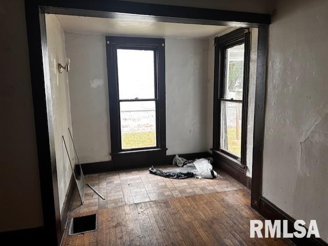 empty room with a wealth of natural light and light wood-type flooring