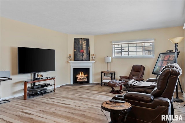 living room with light hardwood / wood-style floors