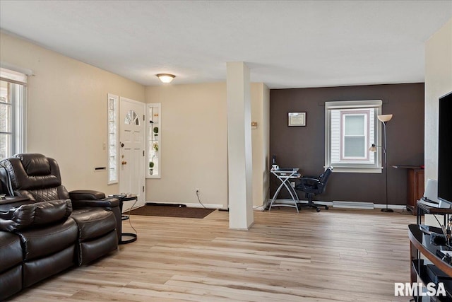 living room featuring light hardwood / wood-style flooring