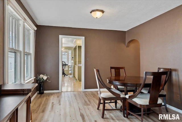 dining room with light hardwood / wood-style floors