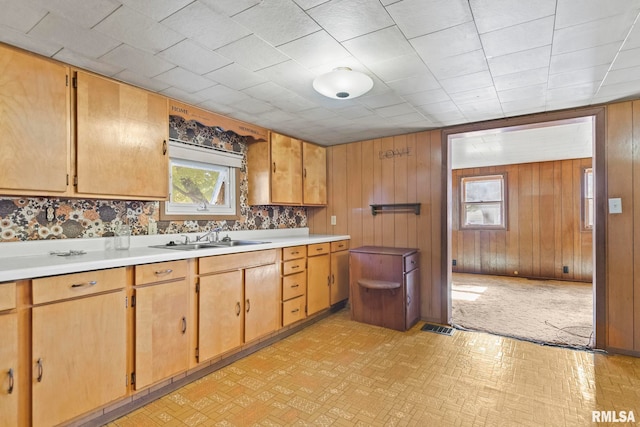 kitchen featuring wooden walls and sink