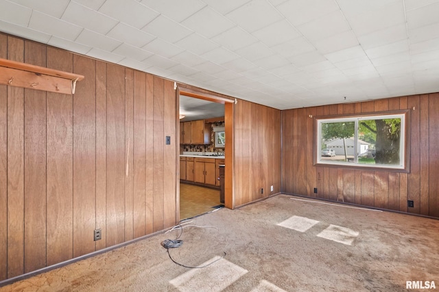 unfurnished room featuring wooden walls and carpet flooring