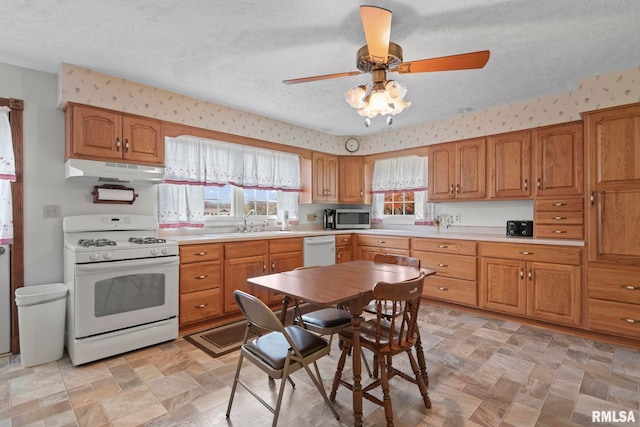 kitchen featuring a wealth of natural light, white appliances, a textured ceiling, and ceiling fan