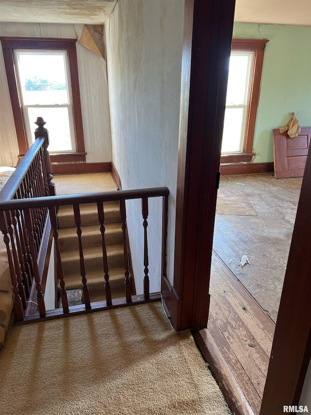 stairs with carpet floors and a healthy amount of sunlight