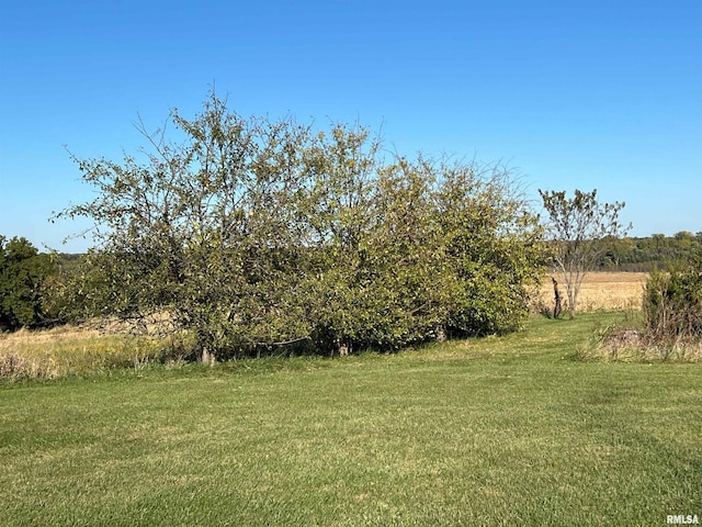 view of yard with a rural view