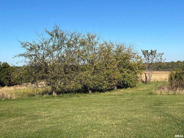 321 N County Road 1200, West Point, IL 62380 - view of green lawn with a view of rural / pastoral area