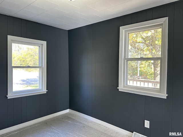 spare room featuring wooden walls and a wealth of natural light