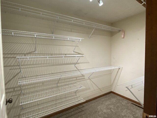 77 Country Pl Unit 77, Springfield, IL 62703 - walk in closet featuring carpet floors