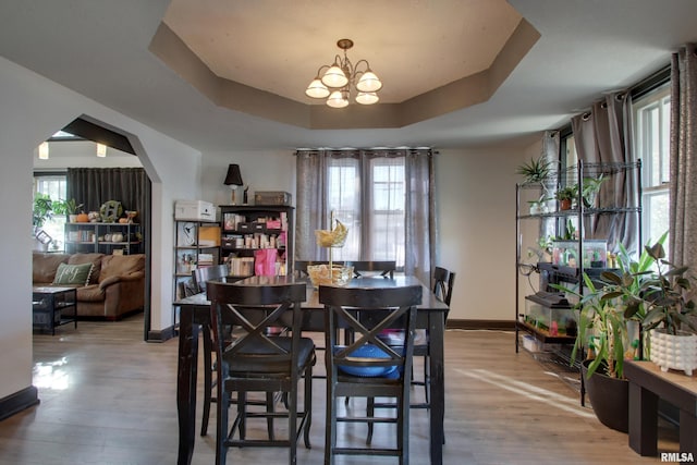 dining room featuring an inviting chandelier, hardwood / wood-style floors, a tray ceiling, and a healthy amount of sunlight