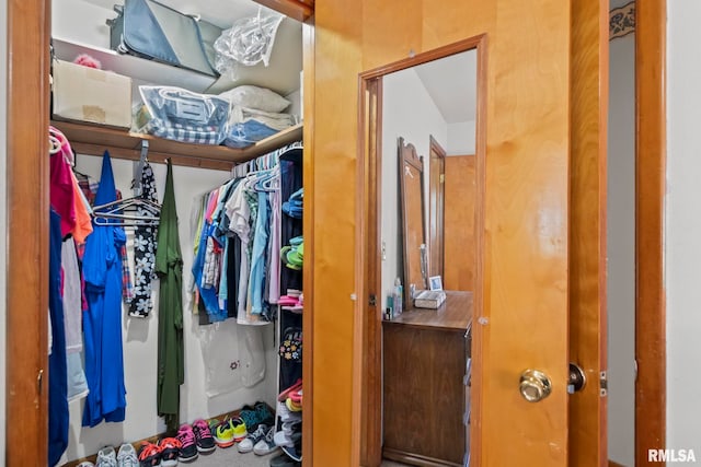 view of spacious closet