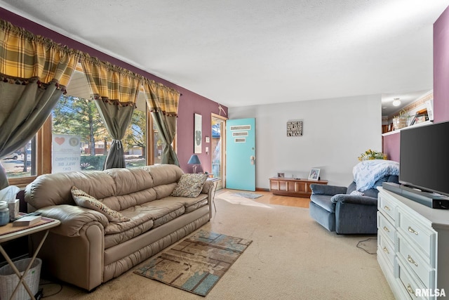 living area with light colored carpet