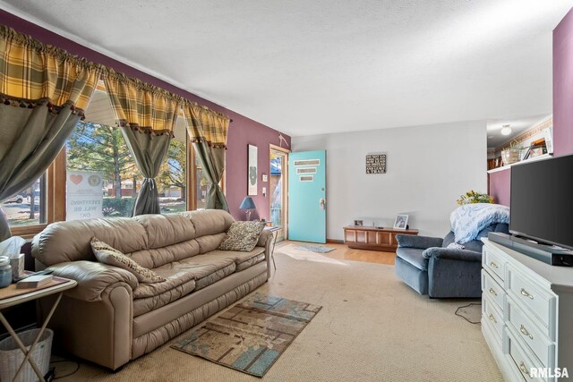 1031 Francella Ct, Springfield, IL 62702 - living area with light colored carpet