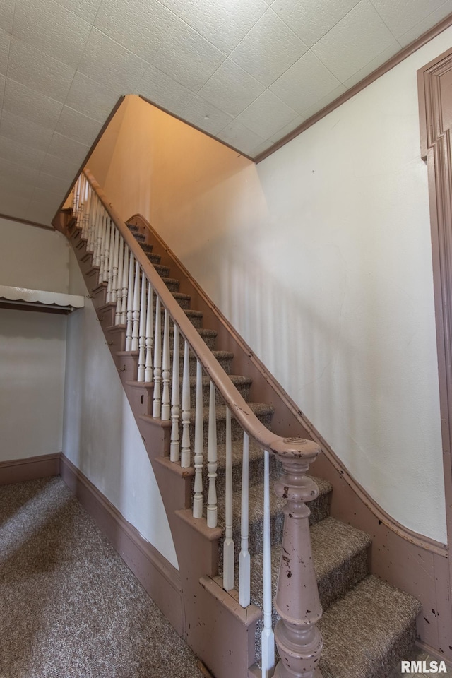 stairs with carpet flooring