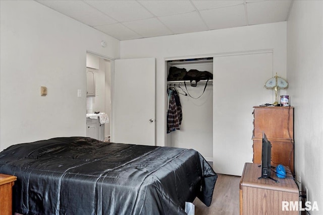 bedroom with wood-type flooring, a paneled ceiling, and a closet