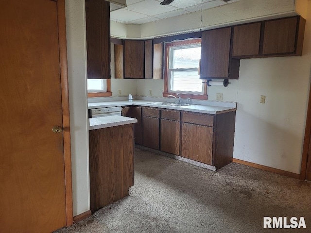 kitchen with dark brown cabinets, light carpet, sink, and a drop ceiling