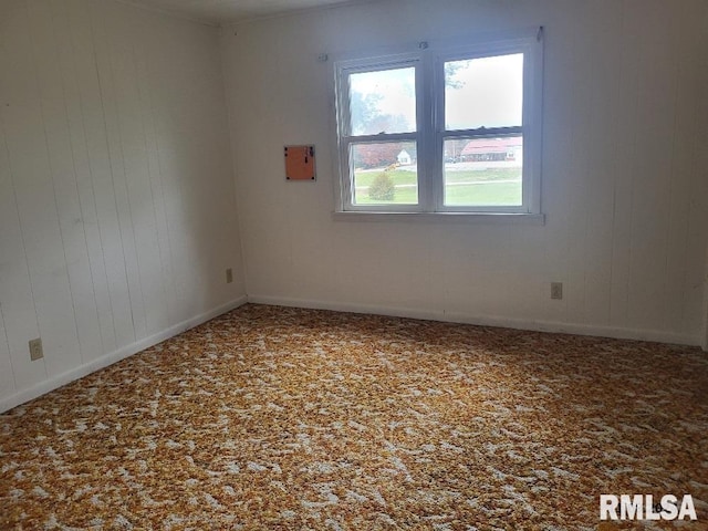 empty room featuring wooden walls and carpet