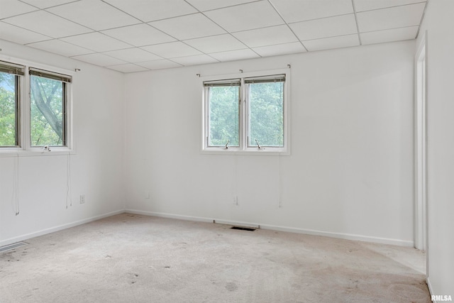 carpeted empty room featuring a wealth of natural light and a paneled ceiling