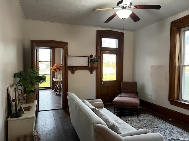 living room with a healthy amount of sunlight, dark hardwood / wood-style flooring, and crown molding