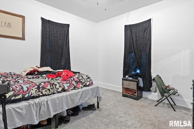 bedroom with carpet floors