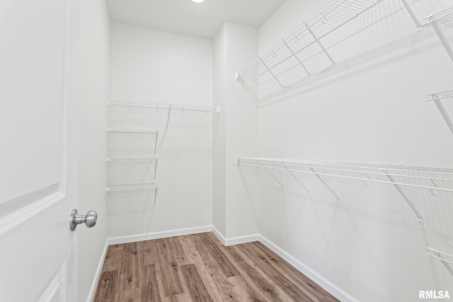 walk in closet with wood-type flooring