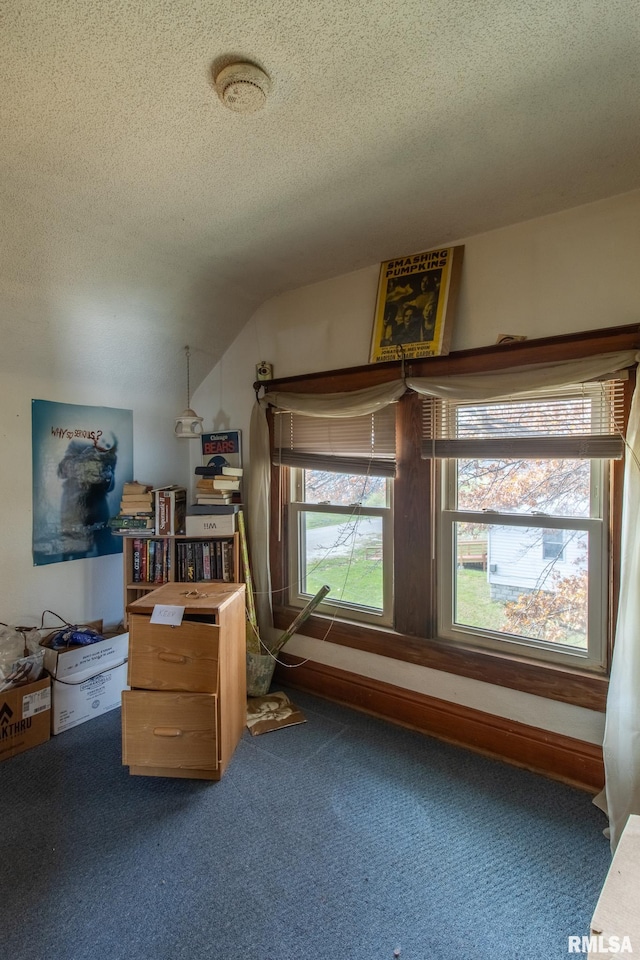 bonus room featuring a textured ceiling and carpet floors