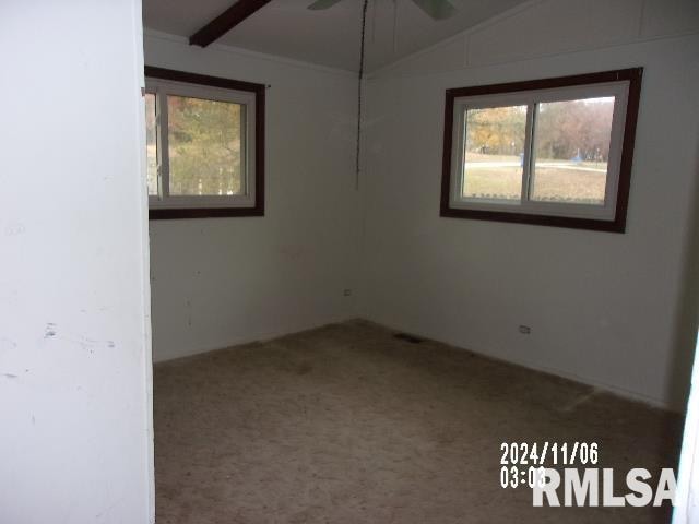 spare room with carpet flooring, ceiling fan, and lofted ceiling