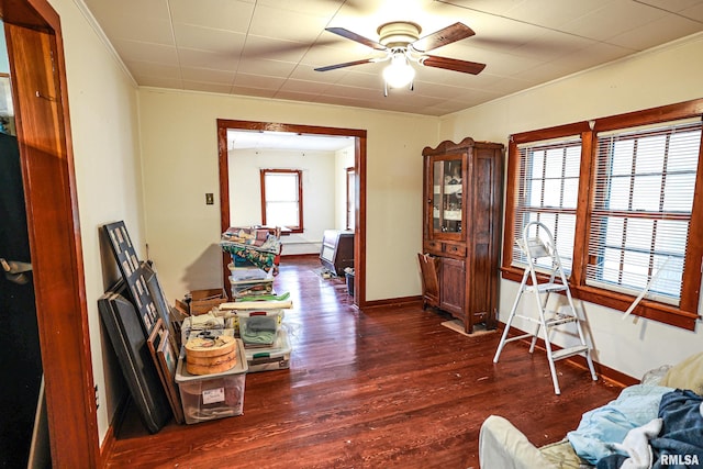 interior space featuring dark hardwood / wood-style floors, ceiling fan, and crown molding