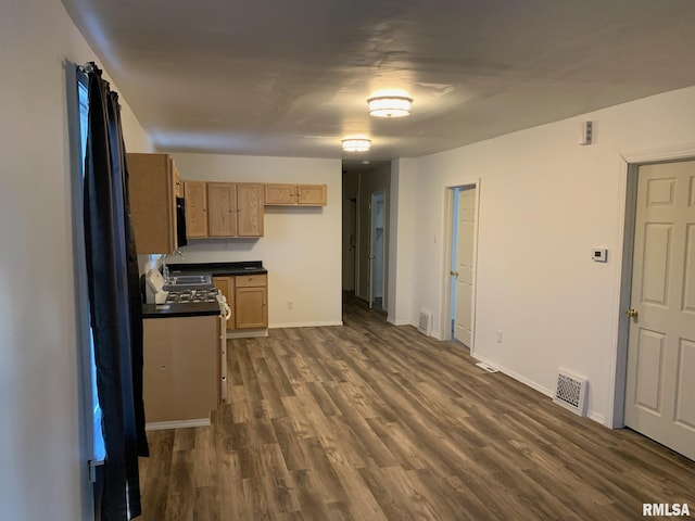 kitchen featuring light brown cabinets and dark hardwood / wood-style flooring