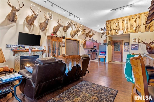 living room with dark hardwood / wood-style floors and track lighting