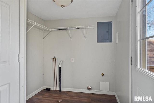 laundry room with electric panel and dark wood-type flooring