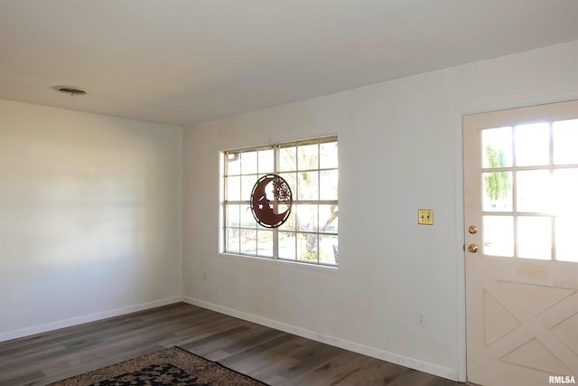 foyer entrance featuring a wealth of natural light and dark wood-type flooring