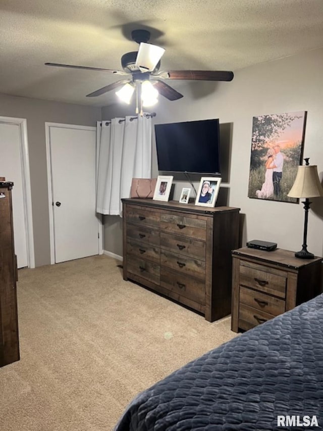 212 N Eastview St, Camp Point, IL 62320 - bedroom with carpet floors, a textured ceiling, and a ceiling fan