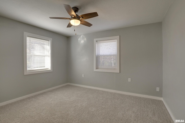 spare room with plenty of natural light, a textured ceiling, baseboards, and carpet flooring