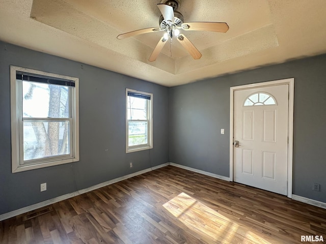 entrance foyer featuring plenty of natural light, dark wood-type flooring, and a textured ceiling