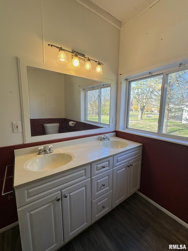 508 S Main St, Abingdon, IL 61410 - bathroom with double vanity, wood finished floors, and healthy amount of natural light