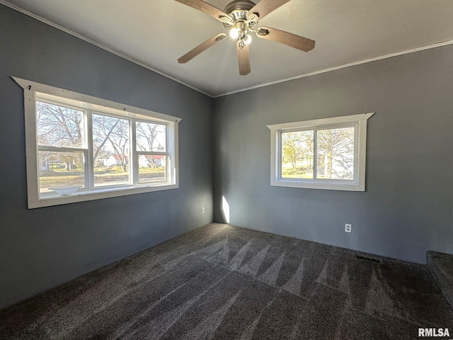 508 S Main St, Abingdon, IL 61410 - carpeted empty room with healthy amount of natural light, a ceiling fan, and ornamental molding