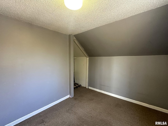 additional living space with carpet, a textured ceiling, and vaulted ceiling