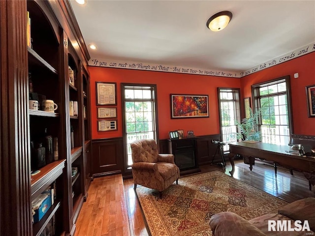 office area featuring light hardwood / wood-style floors and plenty of natural light