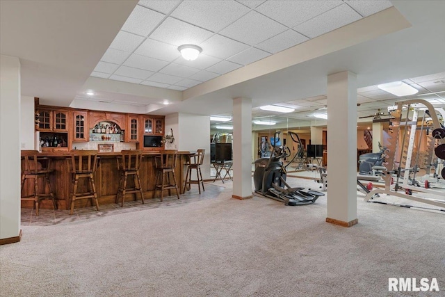 bar featuring carpet floors and a drop ceiling