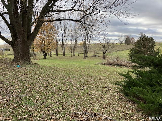 view of yard with a rural view