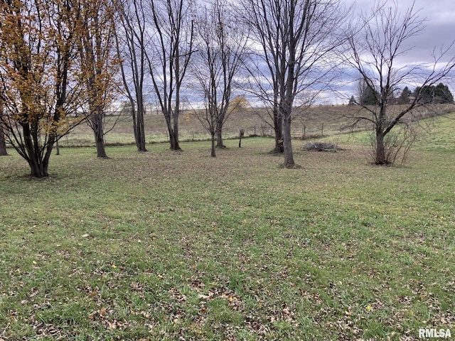 view of yard featuring a rural view