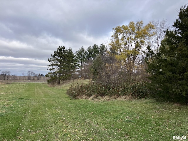 view of yard with a rural view