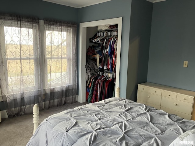 carpeted bedroom with a closet