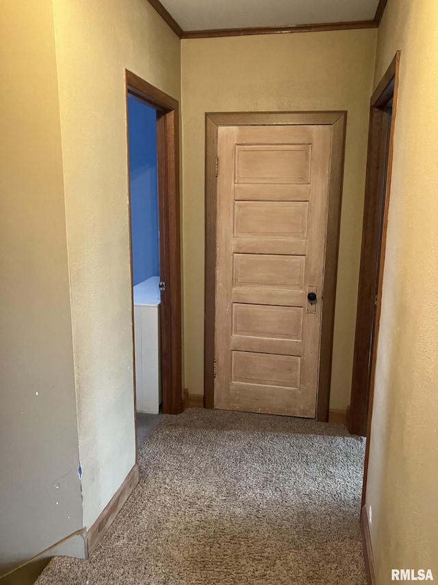 hall with carpet flooring and crown molding